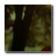 tamil movie Dalapathi